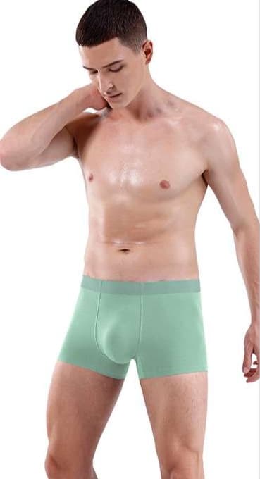 下着 メンズ シルクのような肌触り 極上パンツ