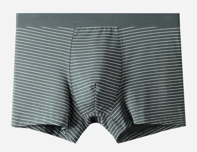 下着 メンズ シンプル ボーダー トランクス