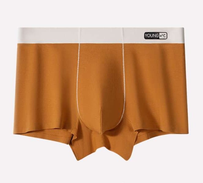 下着 メンズ シームレス 無縫製 快適ボクサーパンツ