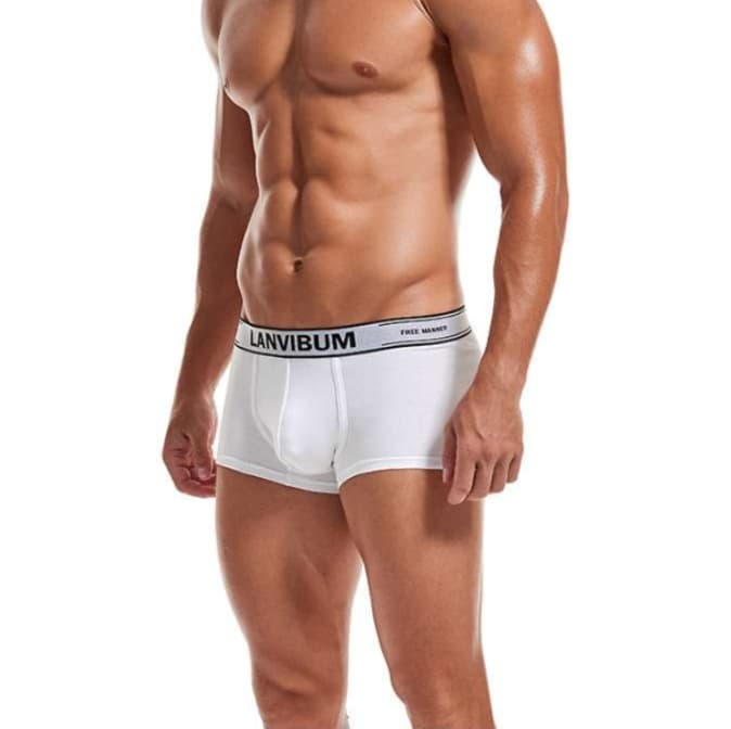 下着 メンズ 上質な素材感 メンズボクサーパンツ