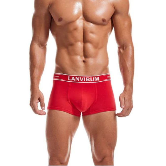 下着 メンズ 上質な素材感 メンズボクサーパンツ