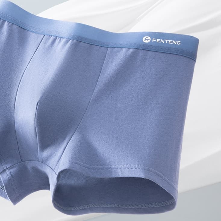 下着 メンズ なめらか綿素材 ゆったりボクサーパンツ