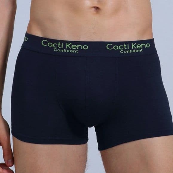 下着 メンズ シンプル極上ボクサーパンツ