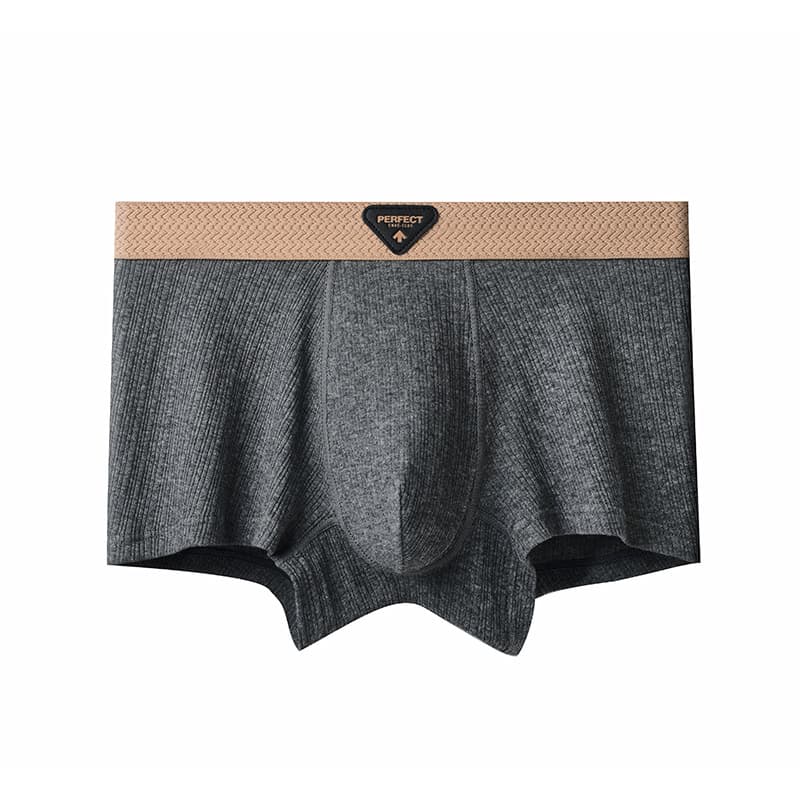 下着 メンズ なめらか綿製ボクサーブリーフ